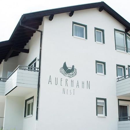 Auerhahn Nest Bad Wildbad Exterior foto