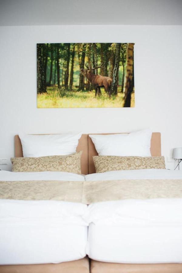 Auerhahn Nest Bad Wildbad Exterior foto